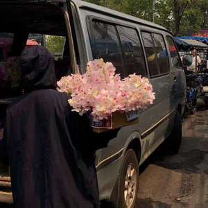 美女的肌肌被男生捅软件下载
