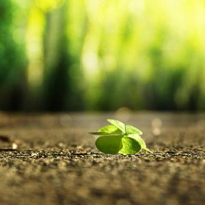 美女的肌肌被男生捅软件下载
